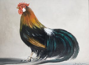 Henk Poeder - Phoenix cock kopen? Bied vanaf 35!