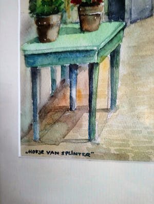 Willem Hopman - Hofje van Splinter kopen? Bied vanaf 50!