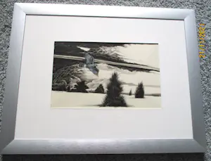 Ari Stolk - Vogel in vlucht (sperwer) kopen? Bied vanaf 45!