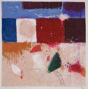 Alexander Vogels - Zeefdruk op geschept papier, Evolutions II kopen? Bied vanaf 1!