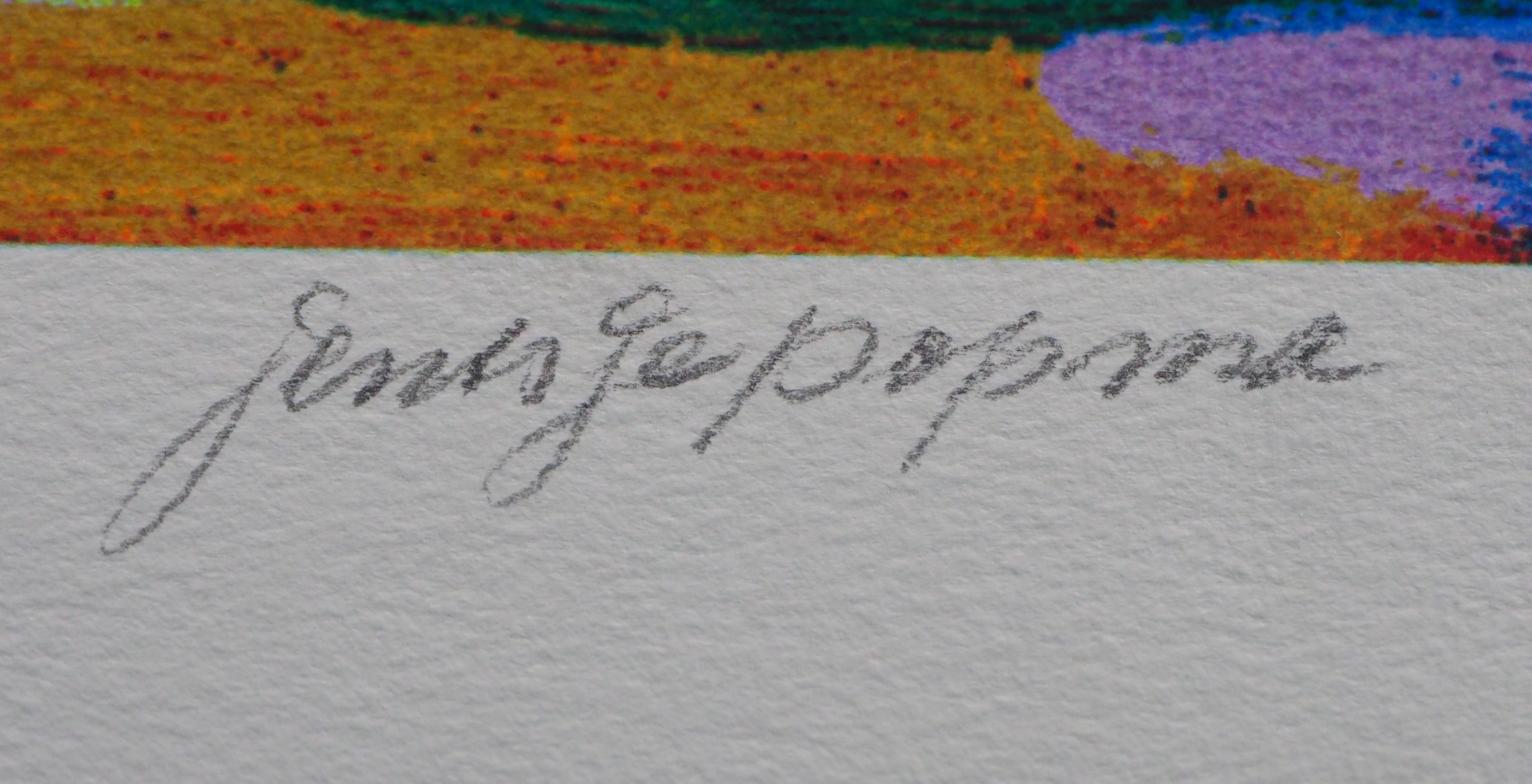 Jentsje Popma - Zomer kopen? Bied vanaf 50!