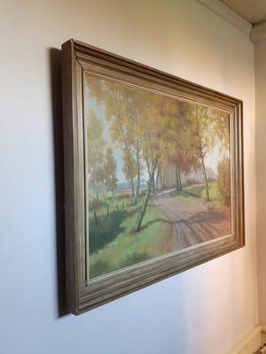 Jan Harm Oostendorp - Weg met bomen kopen? Bied vanaf 100!