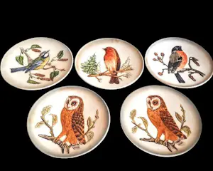 AcheterPorzellanfabrik W. Goebel - Relief Wandteller 5er Set Porzellan "Vögel" aus der Wildlife Serie 70er Jahren? Enchérissez de 48!