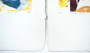 Bernard Alligand - Twee werken: Caresses d´ été en Vestiges kopen? Bied vanaf 49!