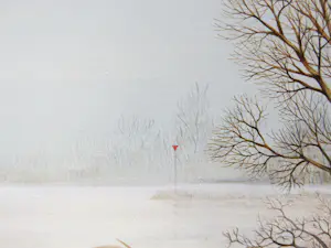 Ari Stolk - Fata Morgana kopen? Bied vanaf 150!