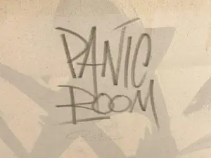 Parscha Mirghawameddin - Panic Room kopen? Bied vanaf 180!