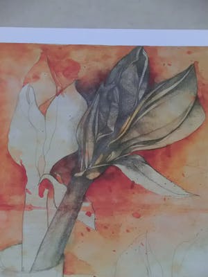 Bruno Bruni - AMARYLLIS Handgesigneerde kleurenlitho, vanaf € 1. kopen? Bied vanaf 1!