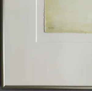 Jurjen Ravenhorst - ingelijste gesigneerde litho kopen? Bied vanaf 99!