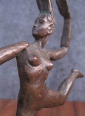 Frans van de Ven - Gejaagd door de wind. kopen? Bied vanaf 90!