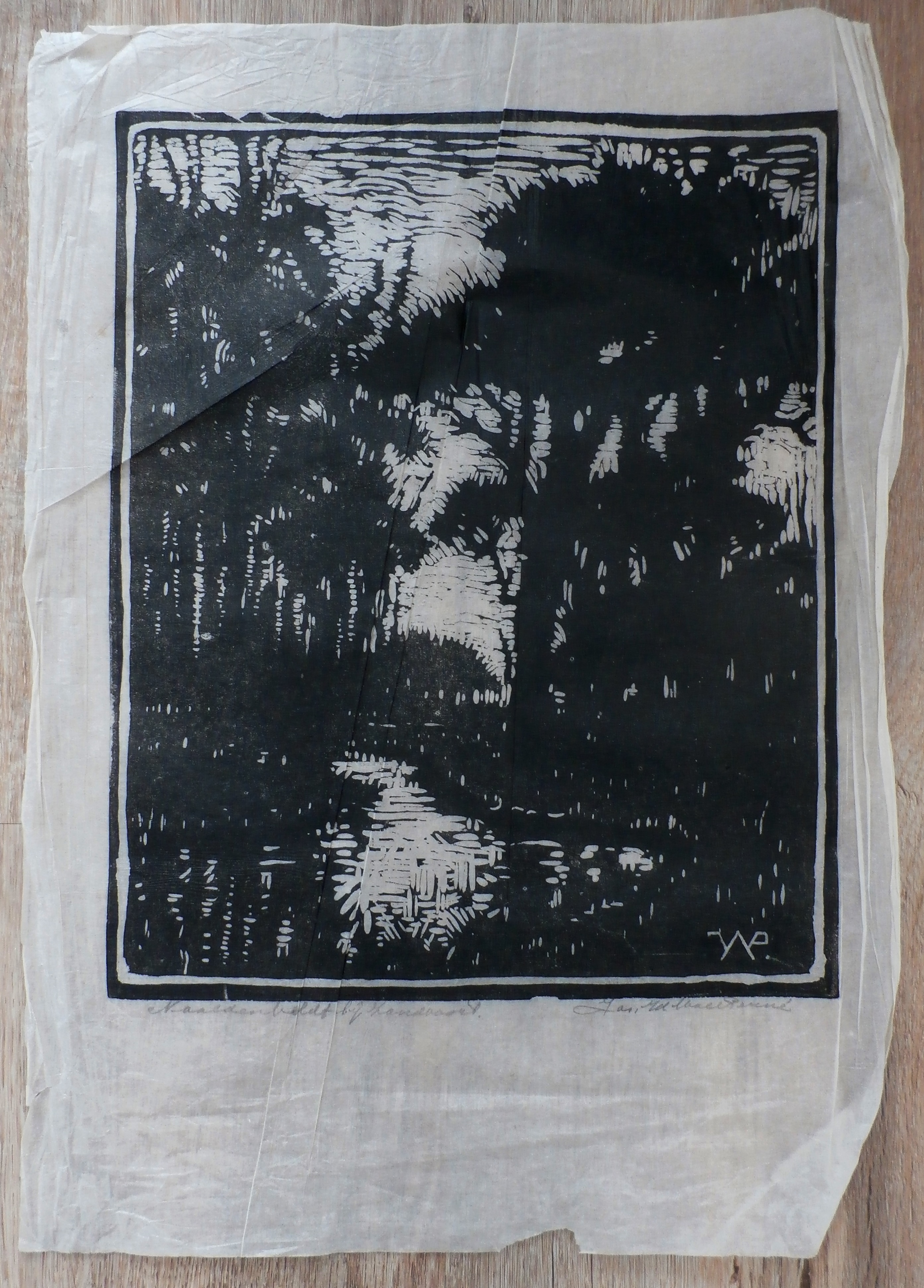 Joseph van de Wall Perne - houtsnede: Naaldenveldt bij Zandvoort kopen? Bied vanaf 35!