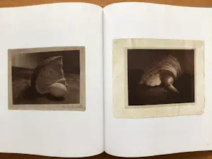 Josef Sudek - 2 Items - "The Legacy of a Deeper Vision" - 2012 - Gebonden + 1 - Uitstekend kopen? Bied vanaf 58!