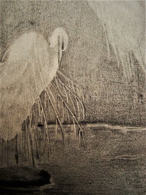 Gerard Christiaan J Gerrits - Fraaie omstreeks 1920 gemaakte potloodtekening "Ooievaars" gesigneerd kopen? Bied vanaf 28!