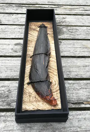 Yvonne Struys - Vleugel. Animalia. kopen? Bied vanaf 119!