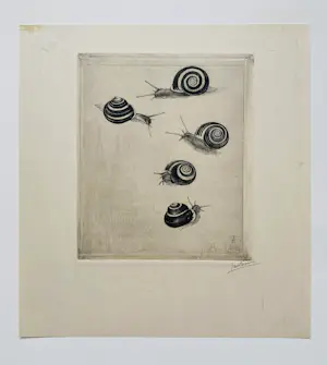 Jan Boon - Slakken kopen? Bied vanaf 55!