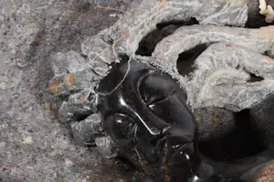 Thomas Zinyeka - Stenen beeld, New Hair (Zwaar!) kopen? Bied vanaf 200!