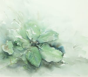 Marjan Nagtegaal - Aquarel, Onkruid (Zuring) - Ingelijst kopen? Bied vanaf 1!