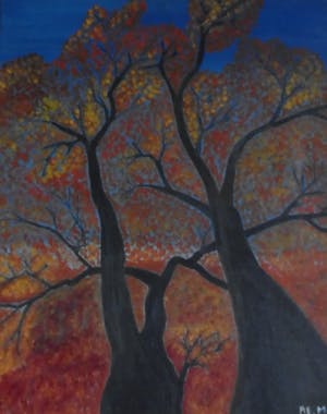 Niet of onleesbaar gesigneerd - Re.mi , bomen kopen? Bied vanaf 1!