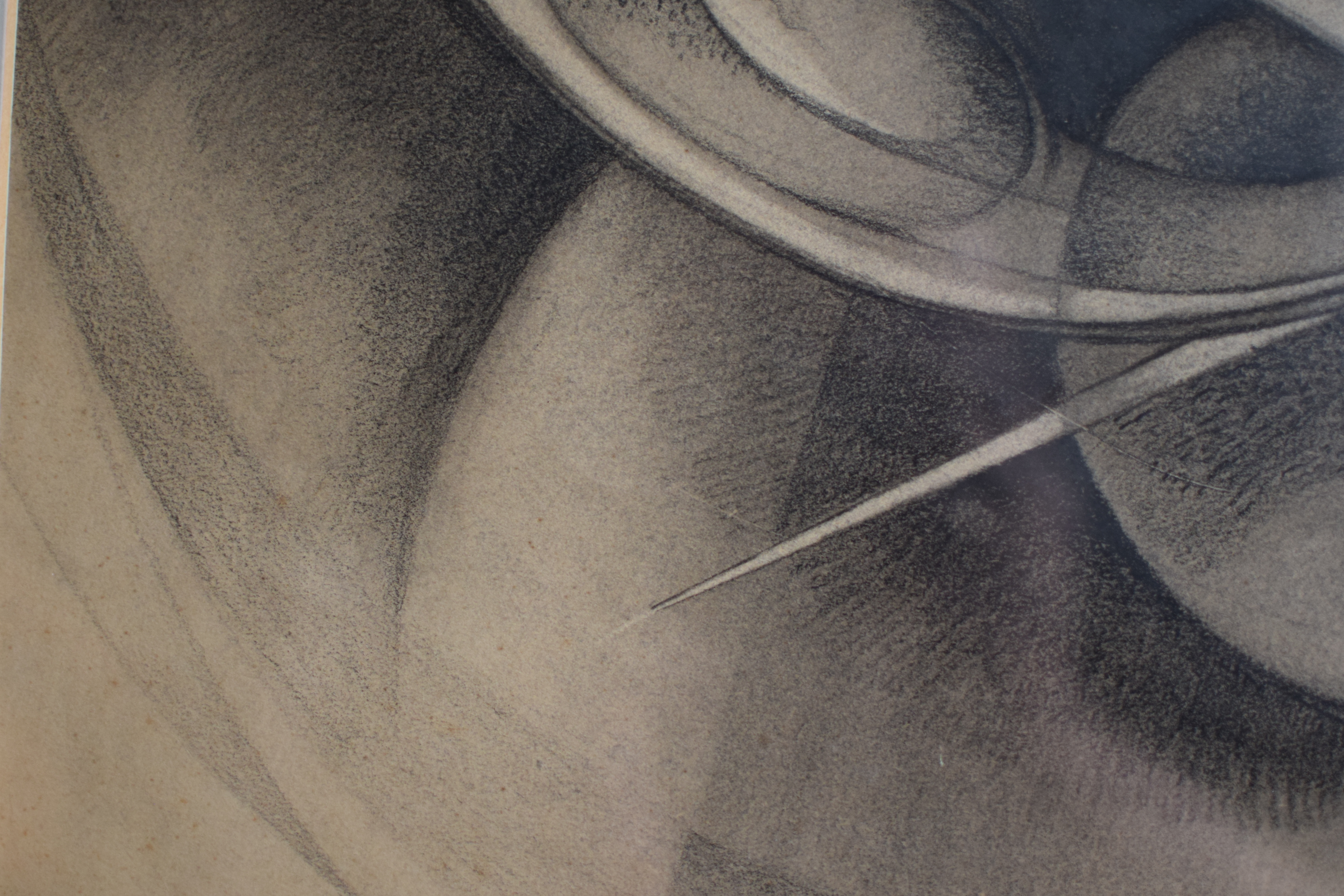 Wim Kersten - Krokussen kopen? Bied vanaf 25!