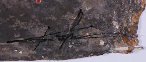 Kantcho Kanev - Zeefdruk, Z.T- Ingelijst kopen? Bied vanaf 50!