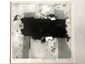 Jan Naezer - Eigen Druk - Handgesigneerd - Met aluminium lijst & Passepartout - 1984 kopen? Bied vanaf 55!