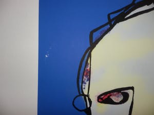 Herman Brood - Kleurenzeefdruk 5-GRAM Handgesigneerd. kopen? Bied vanaf 1!