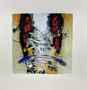 Hans Vanhorck - Lot van 2 zeefdrukken kopen? Bied vanaf 33!