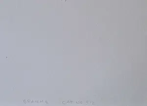 Jan Prins - in zeer kleine oplage (15) gemaakte droge naald Ets "johannes Brahms" gesigneerd kopen? Bied vanaf 56!
