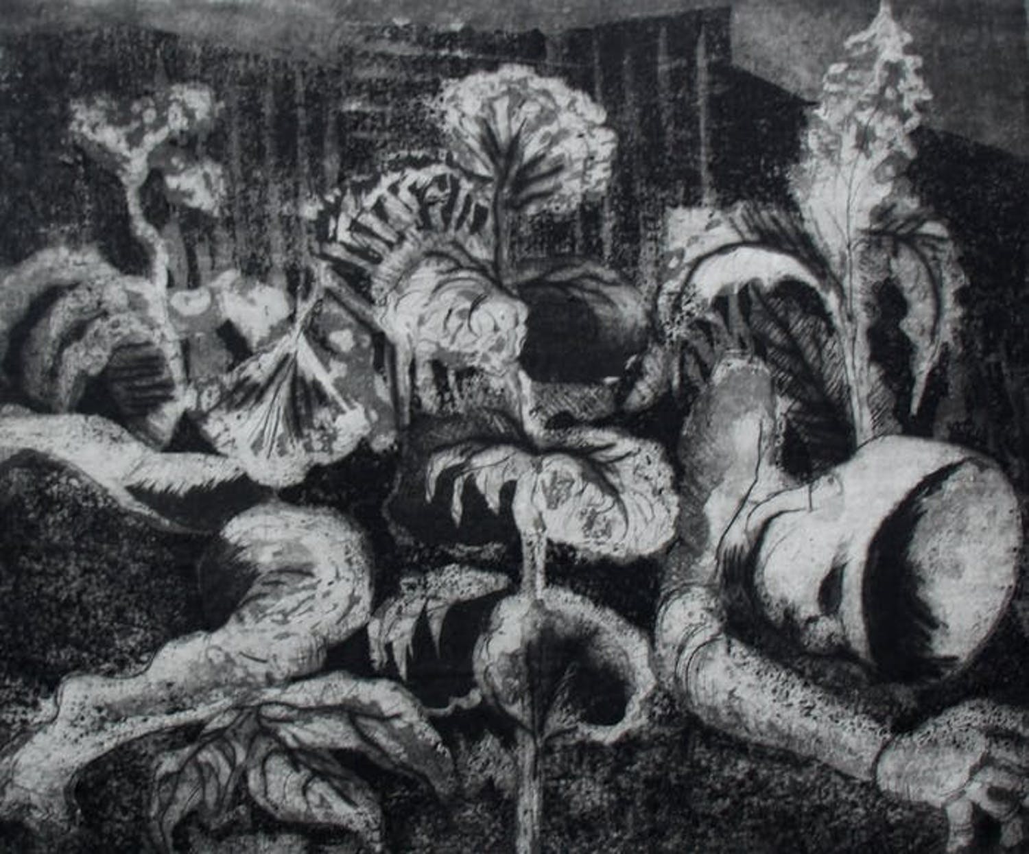 Theo Ros (1935-2009)