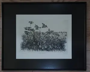 Willem Minderman - Wilde planten met landschap, ets kaufen? Bieten Sie von 49!