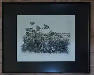 Buy Willem Minderman - Wilde planten met landschap, ets? Bid from 49!