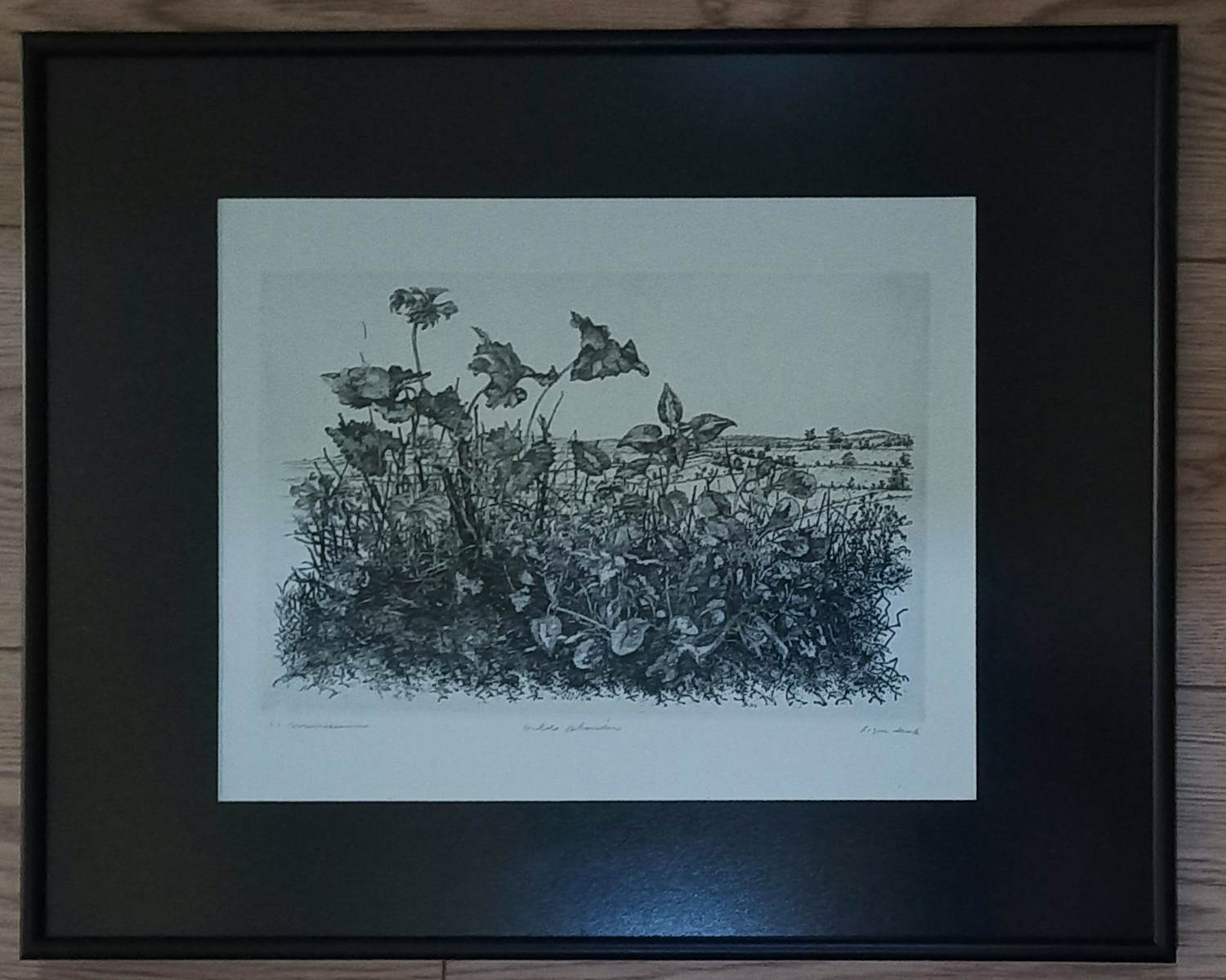 Willem Minderman - Wilde planten met landschap, ets kopen? Bied vanaf 59!