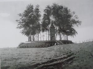 Wim Bettenhausen - TERP BIJ OOSTERWIERUM kopen? Bied vanaf 115!