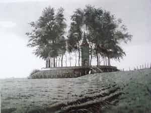 Wim Bettenhausen - TERP BIJ OOSTERWIERUM verkocht voor € 115!