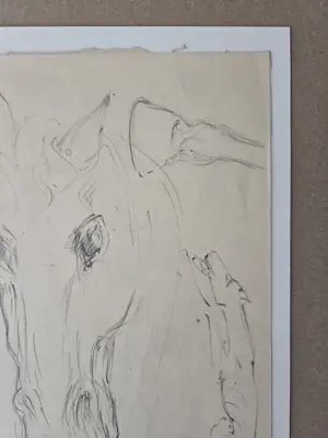 Douwe Jan van der Zweep - Paardenhoofd. Potlood. kopen? Bied vanaf 48!