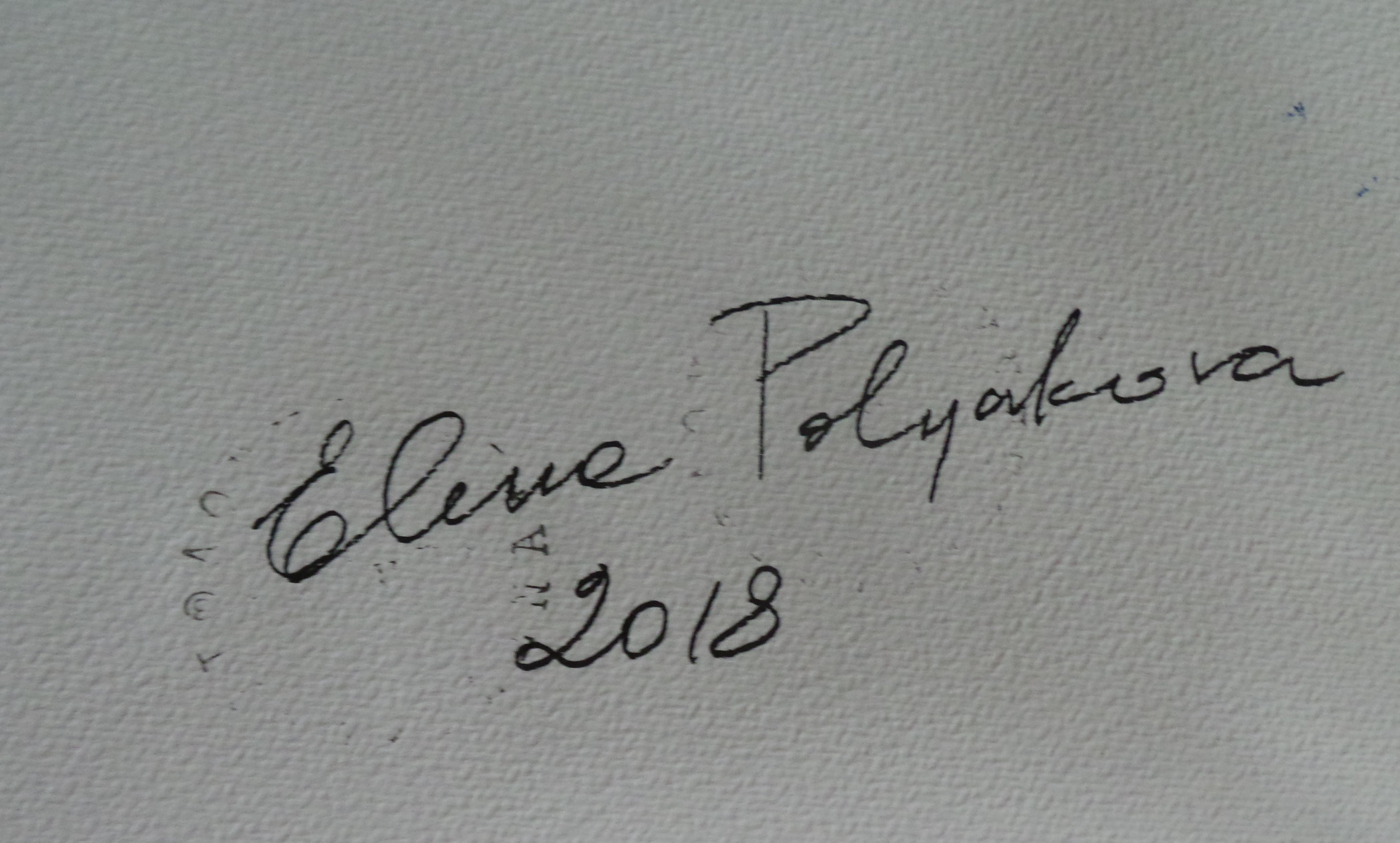 Elena Polyakova - Amsterdamse gracht kopen? Bied vanaf 165!