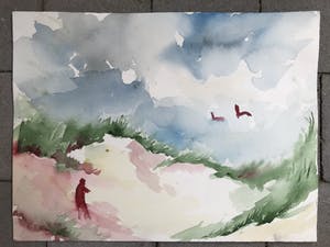 Niet of onleesbaar gesigneerd - Duinpan - aquarel kopen? Bied vanaf 1!