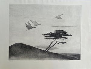 Colette Meltzer-Haesaerts - Touring High kopen? Bied vanaf 5!