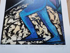 Theo Mackaay - Op bekend terrein kopen? Bied vanaf 50!