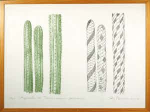 Sjoerd Buisman - Litho, Spirals on Trichocereus pachanoi - Ingelijst verkocht voor € 100!