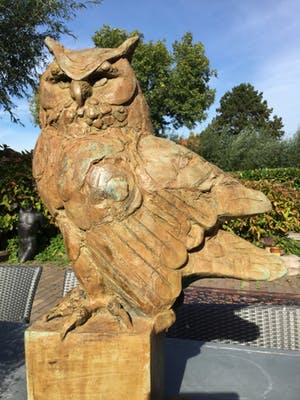 Coba Koster - C2189 - De grote Oehoe kopen? Bied vanaf 3000!