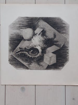 Hans van Dokkum - Het Schelpenoog kopen? Bied vanaf 35!