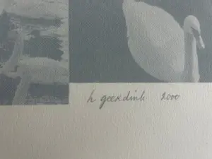 Herman Geerdink - Zwanen kopen? Bied vanaf 100!