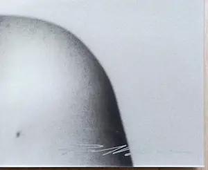 Paul Blanca - Susan Bondage, lambdaprint op dibond (professioneel gelijst, groot) kopen? Bied vanaf 395!