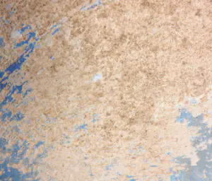 Jacques Isolery - Gemengde techniek op board, Couple - Ingelijst kopen? Bied vanaf 1!