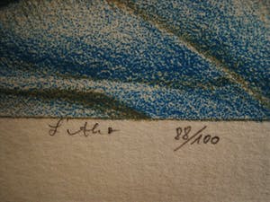 Georg Hadeler - Grote Surrealistische Lithografie "Wounded" oplage 100 EX - gesigneerd kopen? Bied vanaf 10!