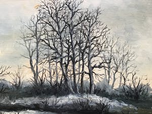 Niet of onleesbaar gesigneerd - Bomen in winter. kopen? Bied vanaf 1!