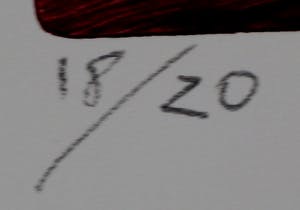 Dana Andreev - Kleurenets: A Girl with a Bird - 1999 kopen? Bied vanaf 125!