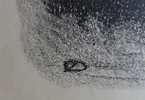 Douwe Jan van der Zweep - Paardenhoofd. Drukgesigneerd met monogram. kopen? Bied vanaf 79!