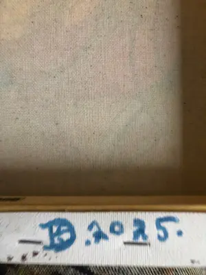 Dirk Broeder - Sparrenboom in de duinen kopen? Bied vanaf 132!