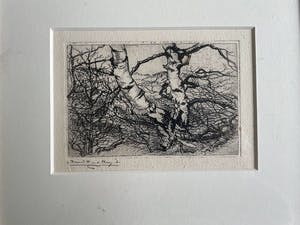 Ruurd van den Berg - Onbekend kopen? Bied vanaf 1!